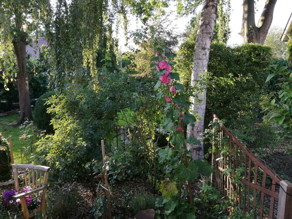 Alte Pastorei Apartment *